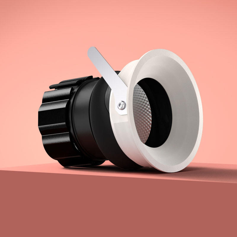 Suri Adjustable Downlight