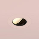 Orluna True Adjustable Downlight | All Square Lighting