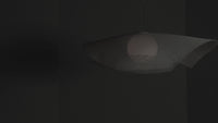 Mytilus Wall Light