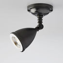 Tekna Lilley Shade On Box N041 Spotlight 