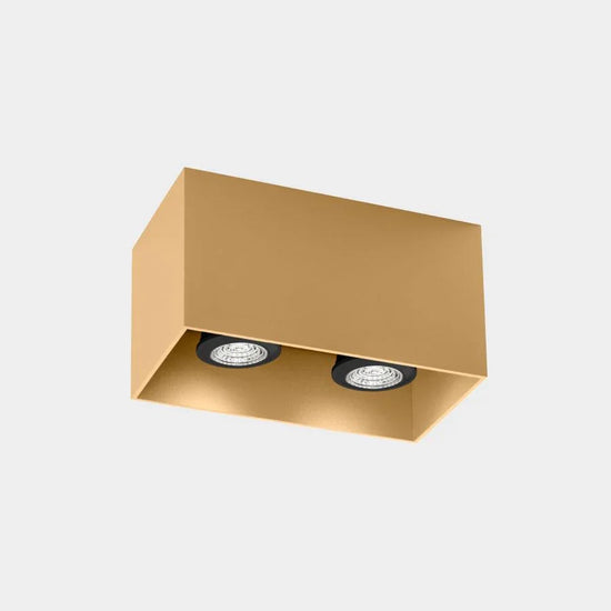 Box 2.0 GU10 Ceiling Light