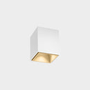Wever & Ducré Box Mini 1.0 LED Ceiling Light | All Square Lighting