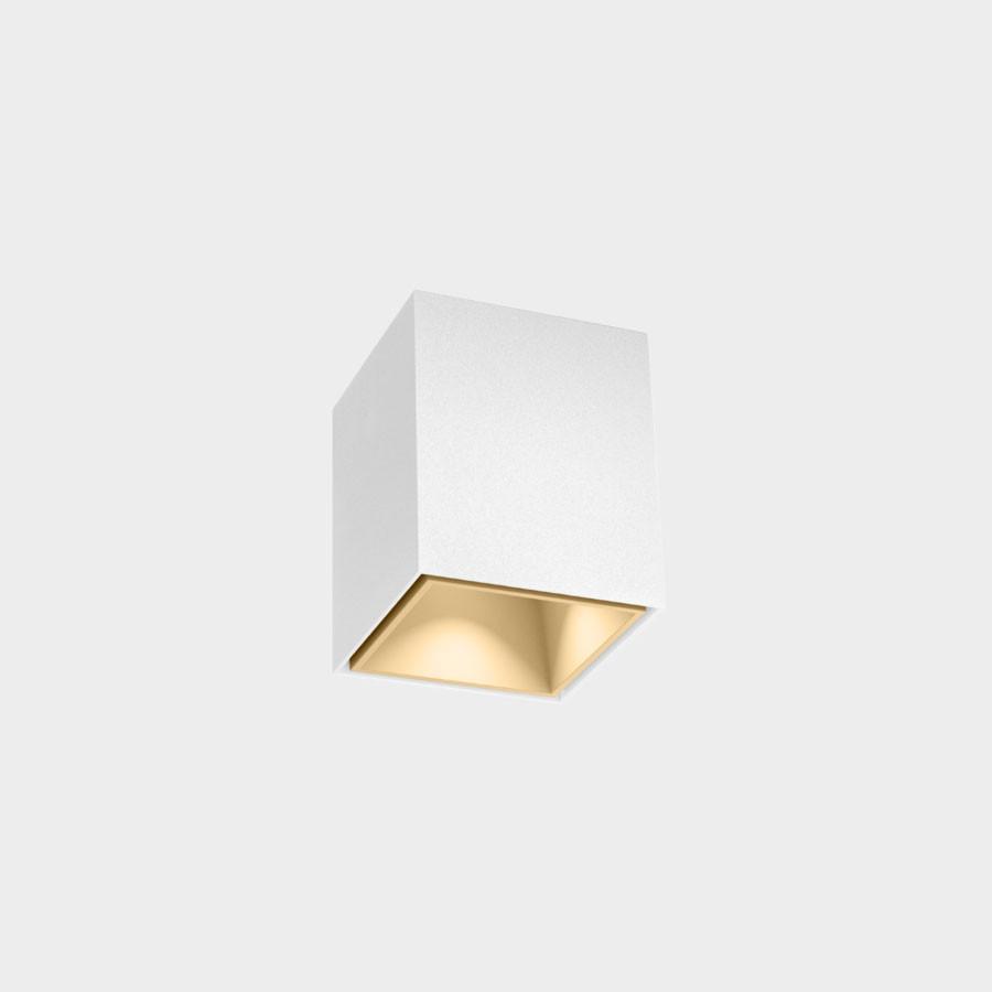 Wever & Ducré Box Mini 1.0 LED Ceiling Light | All Square Lighting