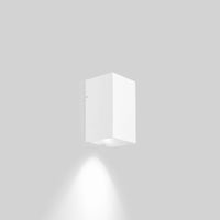 Wever & Ducré Train 1.0 Outdoor Wall Light | All Square Lighting