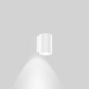 Wever & Ducré Tram 1.0 Outdoor Wall Light | All Square Lighting